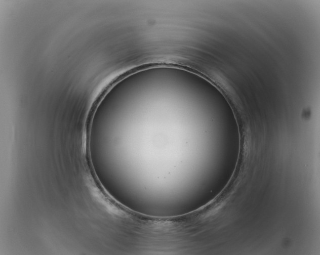 X0000112900940200908281721