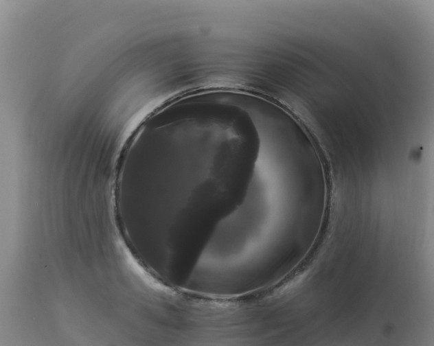 X0000112900941200908281721