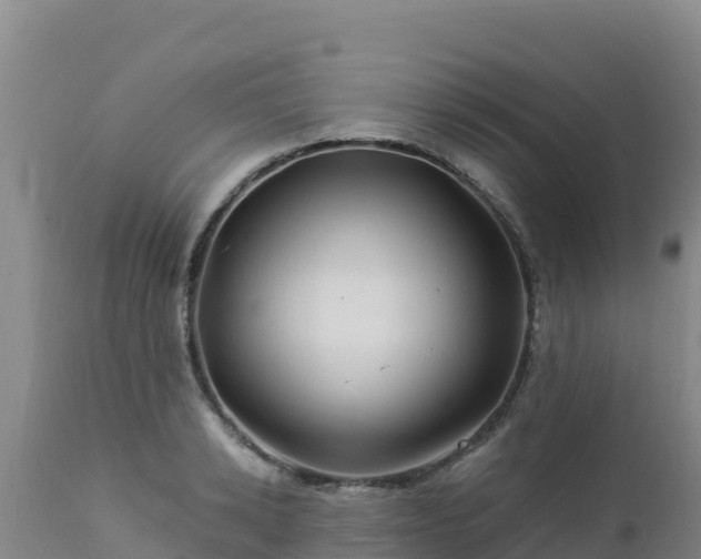 X0000112900942200908281721