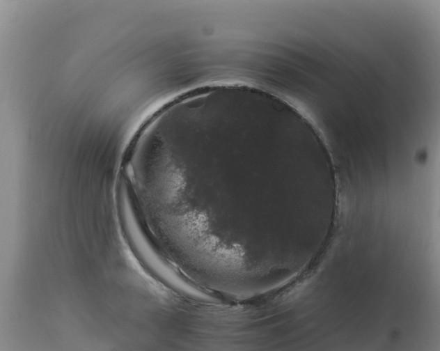 X0000112900943200908281721