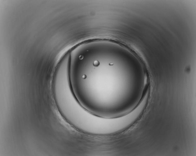 X0000112900944200908281721