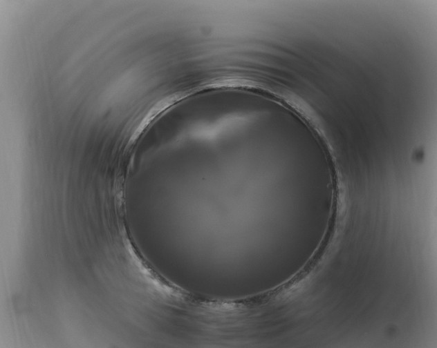 X0000112900945200908281721