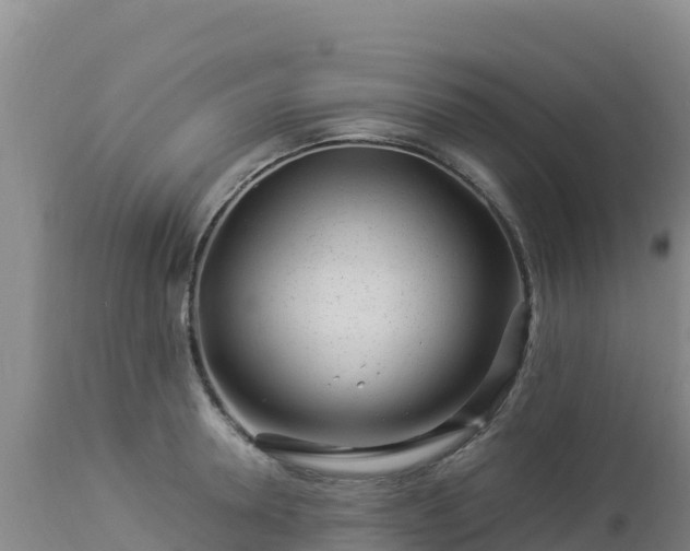 X0000112900946200908281721