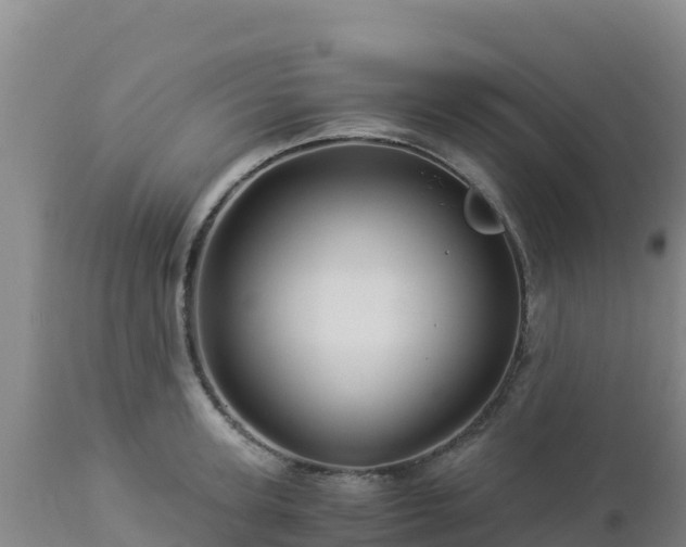 X0000112900947200908281721