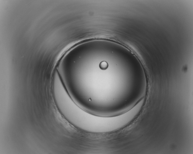 X0000112900948200908281721