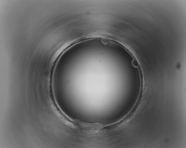 X0000112900949200908281721