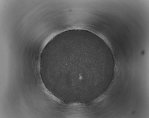 X0000112900950200908281721