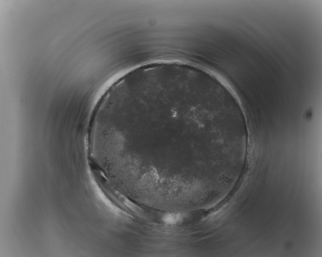 X0000112900951200908281721