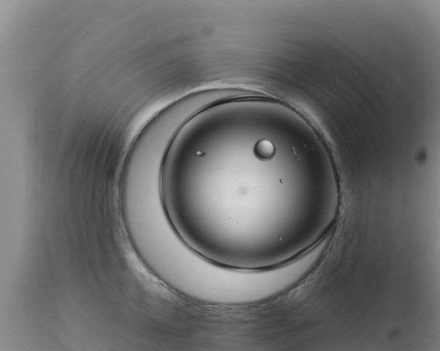 X0000112900952200908281721