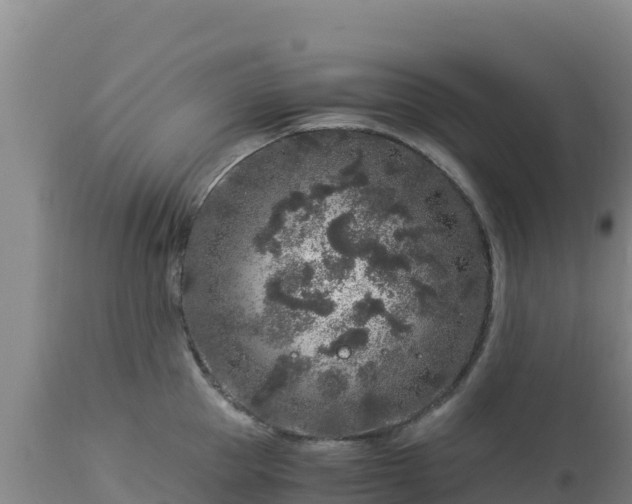 X0000112900953200908281722