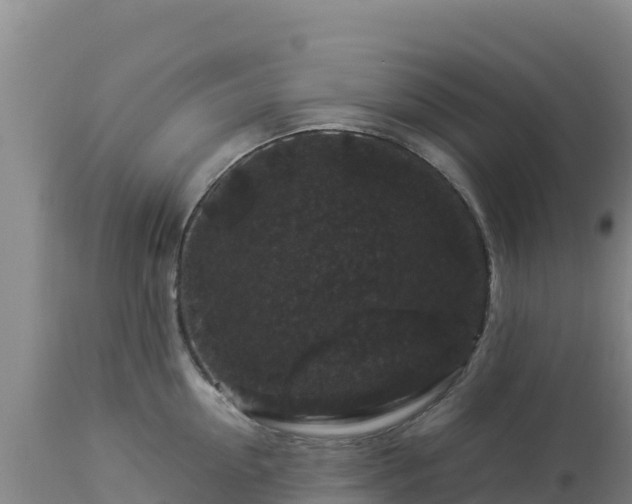 X0000112900954200908281722