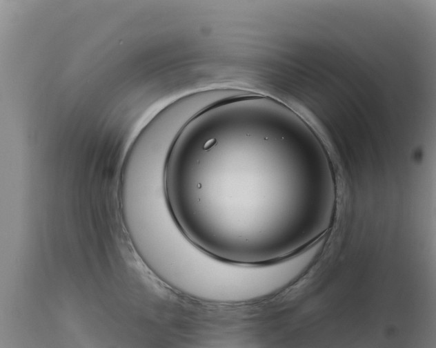 X0000112900956200908281722