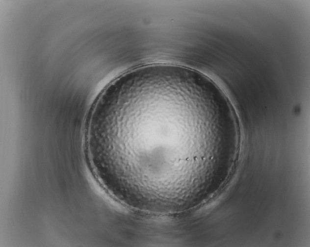 X0000112900957200908281722