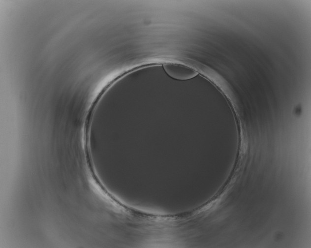 X0000112900958200908281722