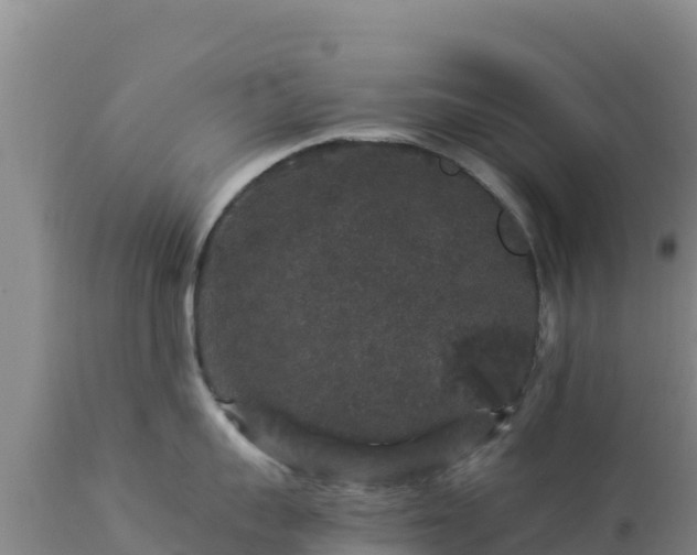 X0000112900959200908281722