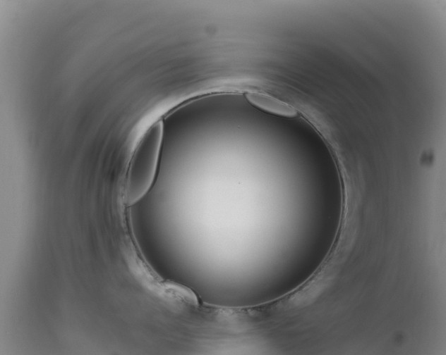 X0000112900960200908281722