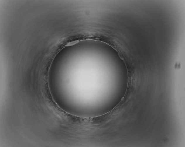 X0000112900961200908281721