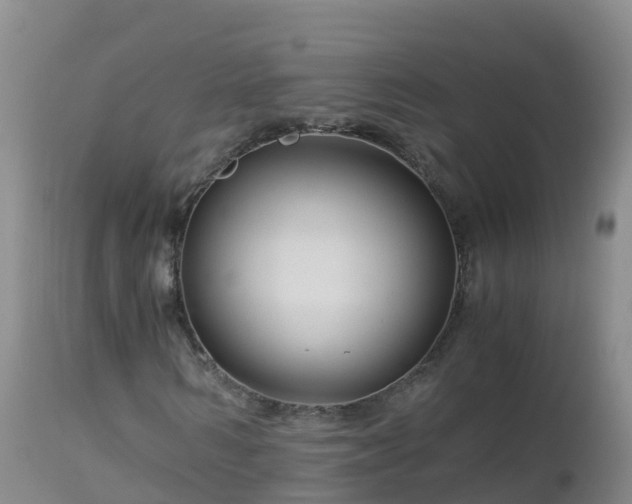 X0000112900962200908281721