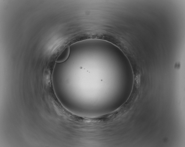 X0000112900963200908281721