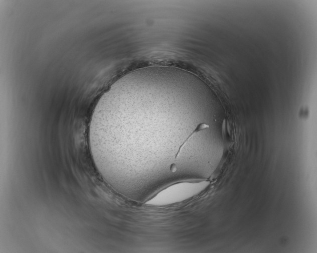 X0000112900964200908281721