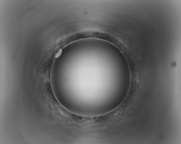 X0000112900965200908281721