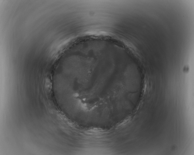 X0000112900966200908281721