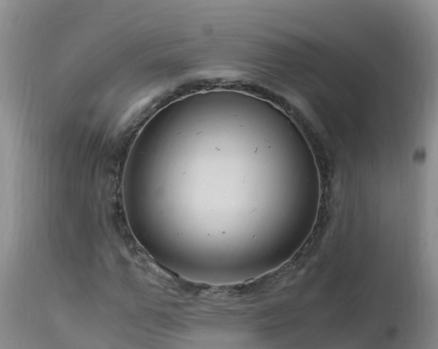 X0000112900967200908281721