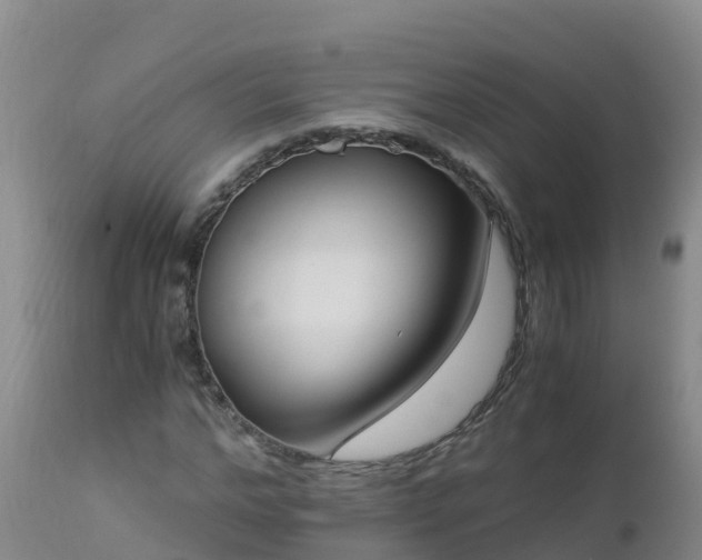 X0000112900968200908281721