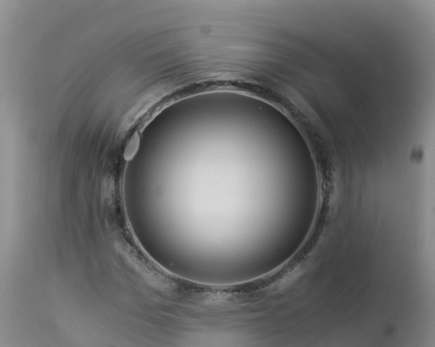 X0000112900969200908281721