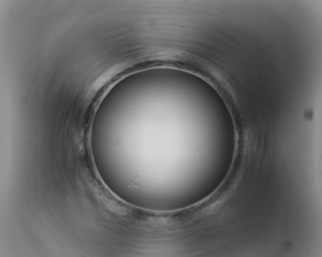 X0000112900970200908281721