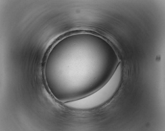 X0000112900972200908281721