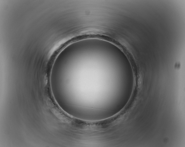 X0000112900973200908281721