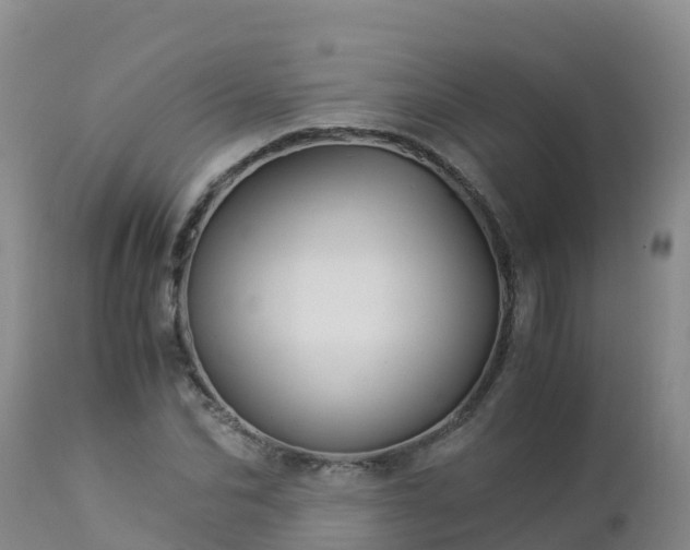 X0000112900974200908281721