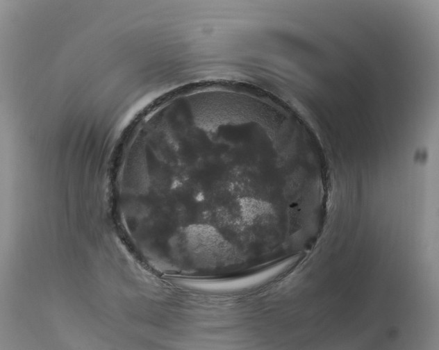 X0000112900975200908281721