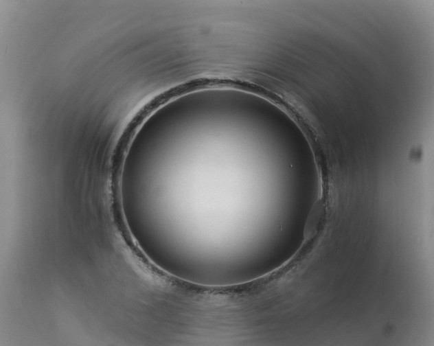 X0000112900976200908281721