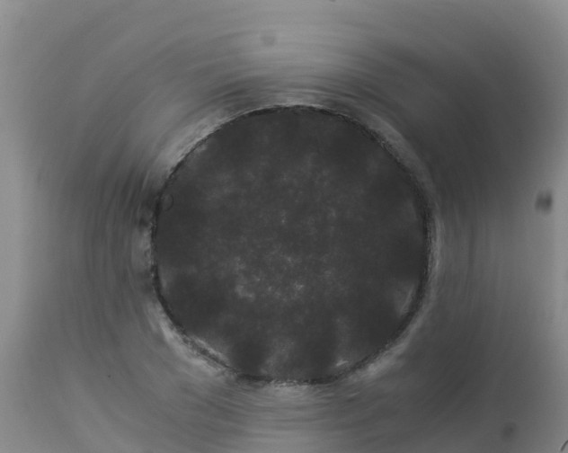 X0000112900977200908281721