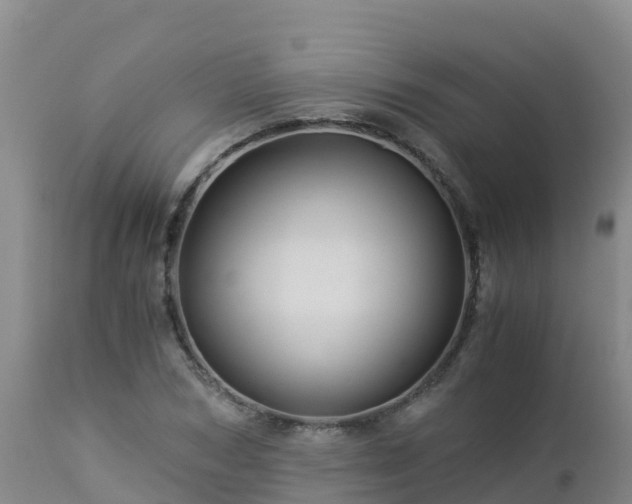 X0000112900978200908281721