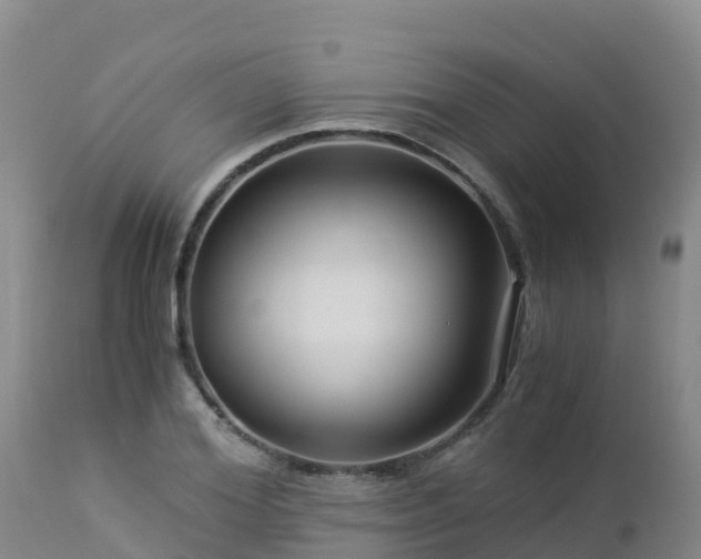 X0000112900980200908281721