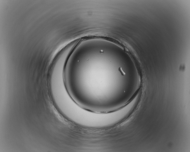 X0000112900981200908281721