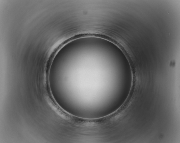 X0000112900982200908281721