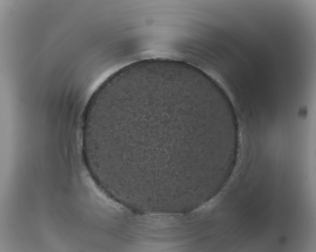 X0000112900983200908281721