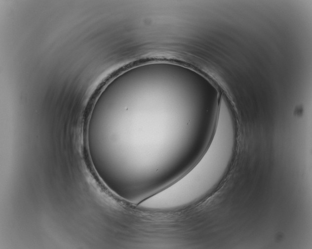 X0000112900984200908281721