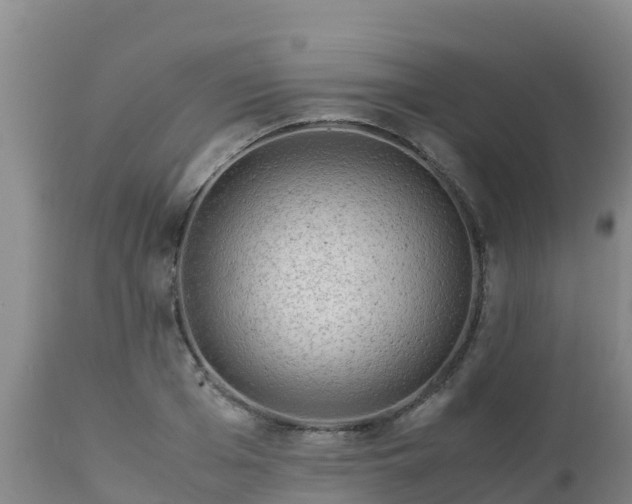 X0000112900985200908281721