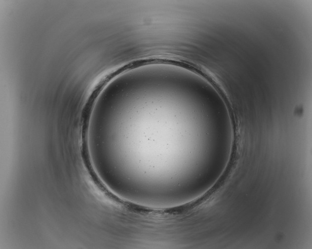 X0000112900987200908281721