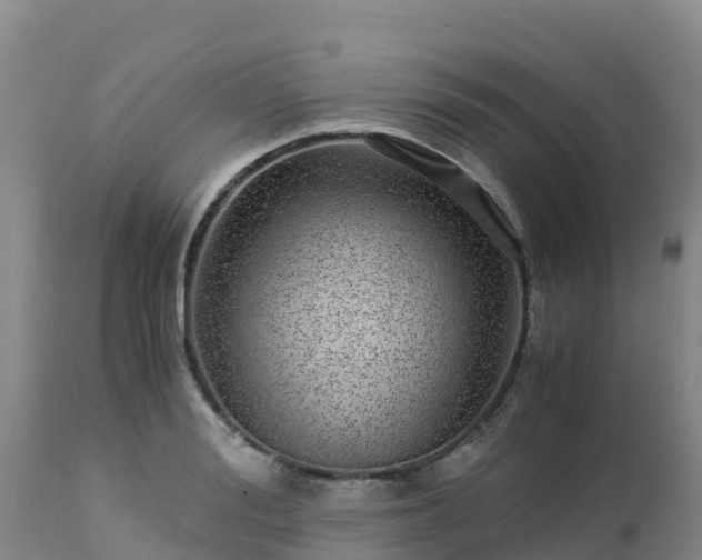 X0000112900988200908281721