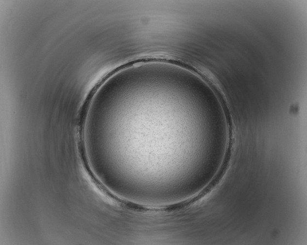 X0000112900989200908281721