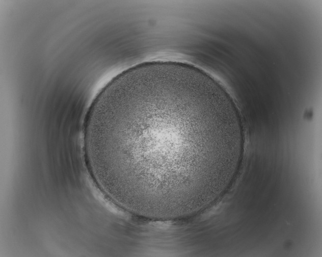 X0000112900990200908281721