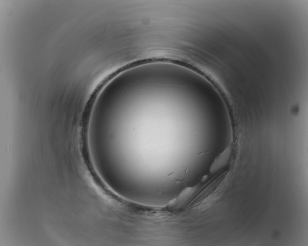 X0000112900991200908281721