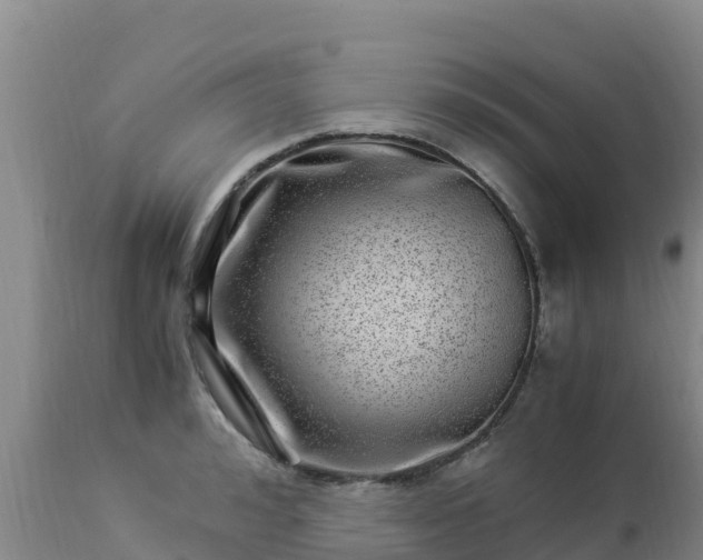 X0000112900992200908281721