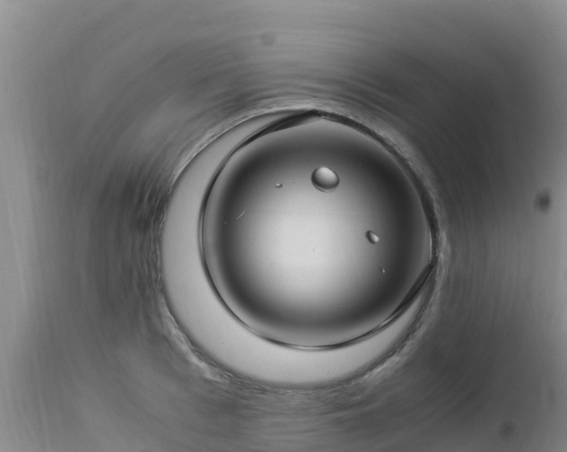 X0000112900993200908281721